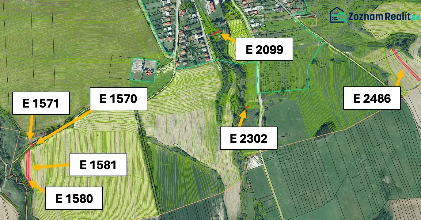 Aerial map of agricultural and forest plots around Stará Ľubovňa.