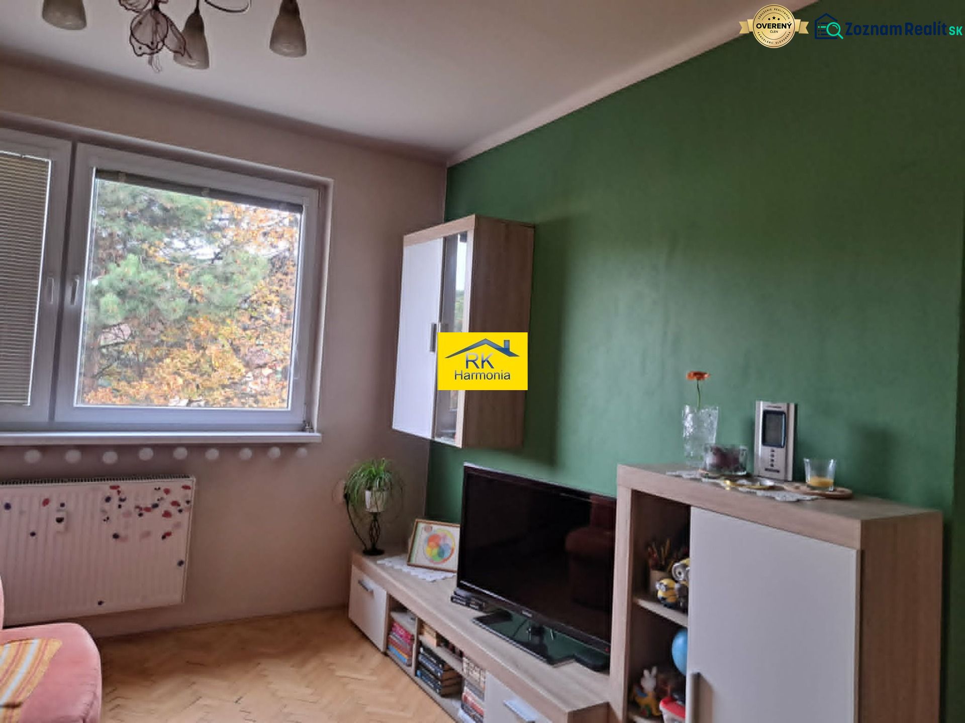 Living room with wooden decor, television, and a green wall in a two-room apartment.