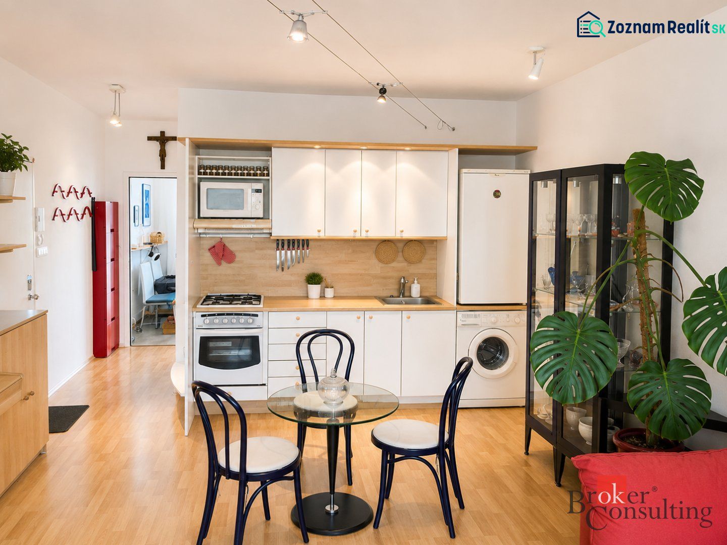 Spacious kitchen in a 2-room apartment with a wooden decor floor and a houseplant.