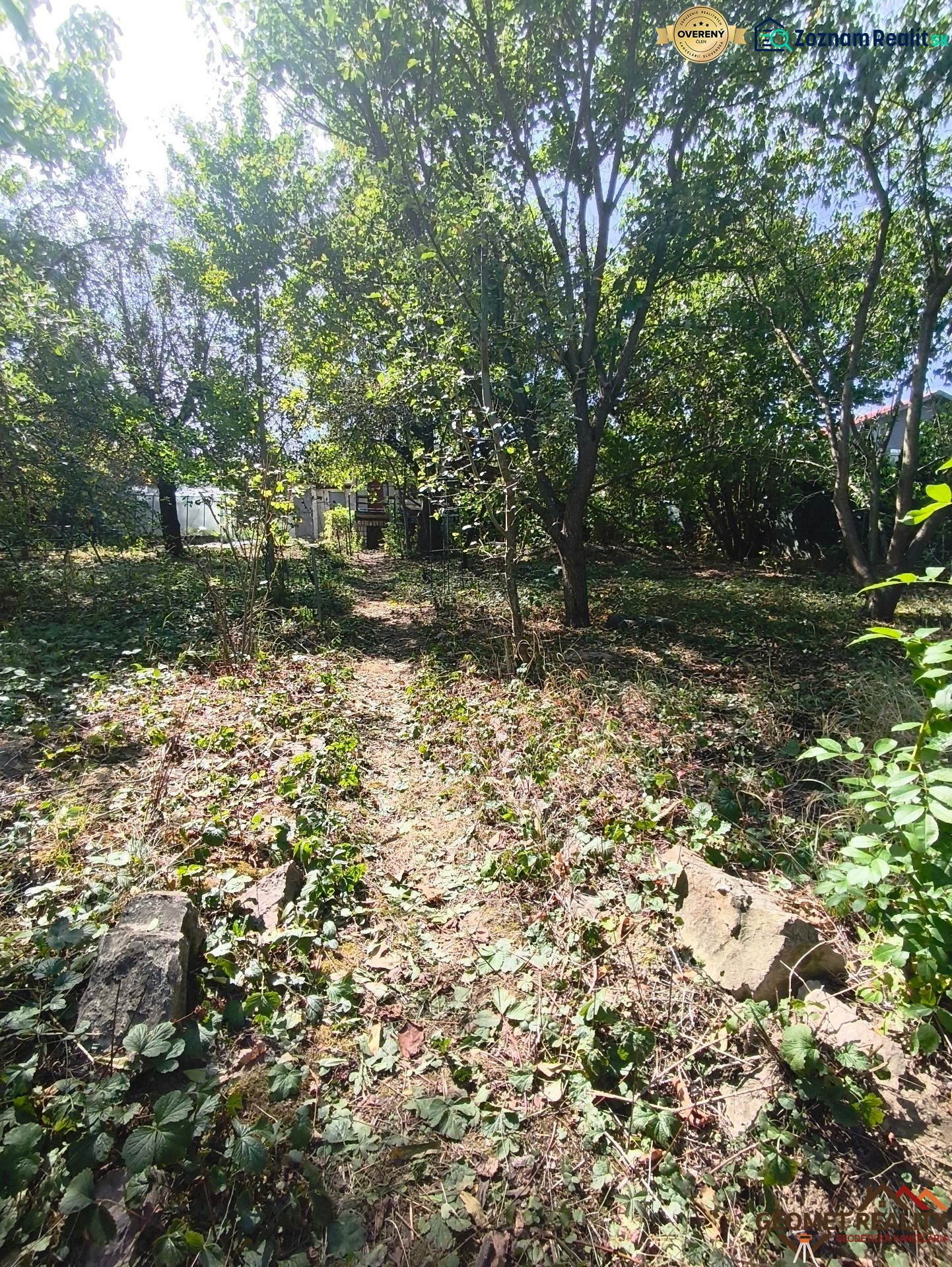 The greenery in the gardens of Lučenec with a forest path and tall trees.