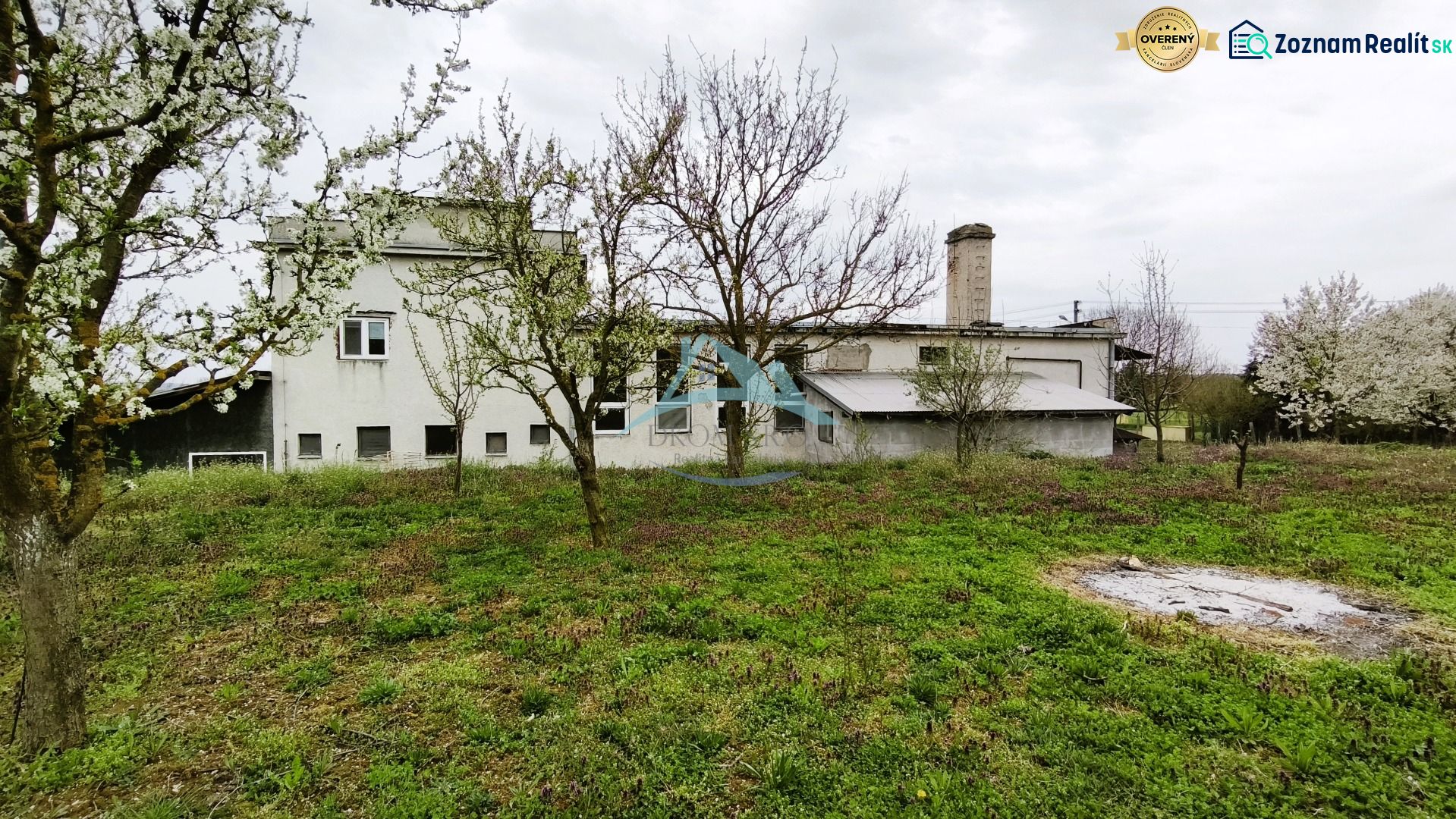 Production facilities in Lesenice surrounded by greenery and blooming trees.