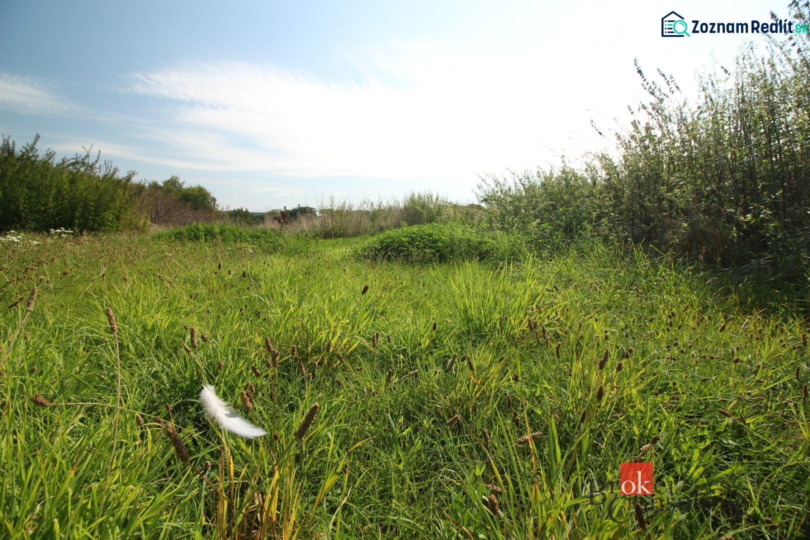 Sunny plots - living in Nitra with lush vegetation and blue skies.