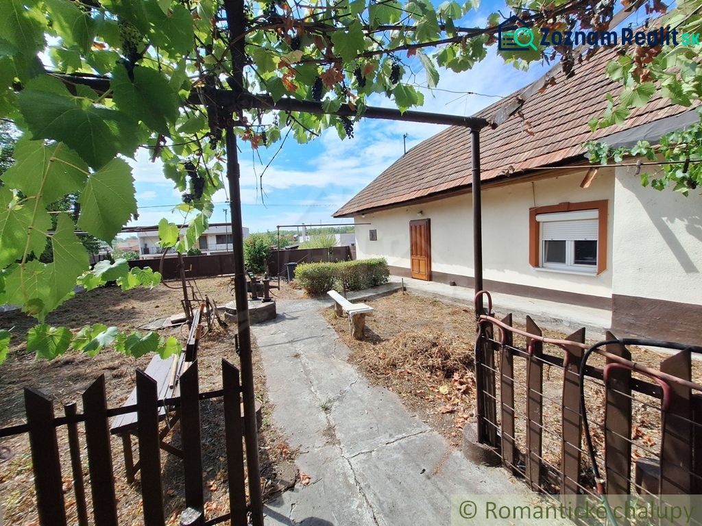 The yard at the family house in Kamenica nad Hronom with a pergola and a bench.