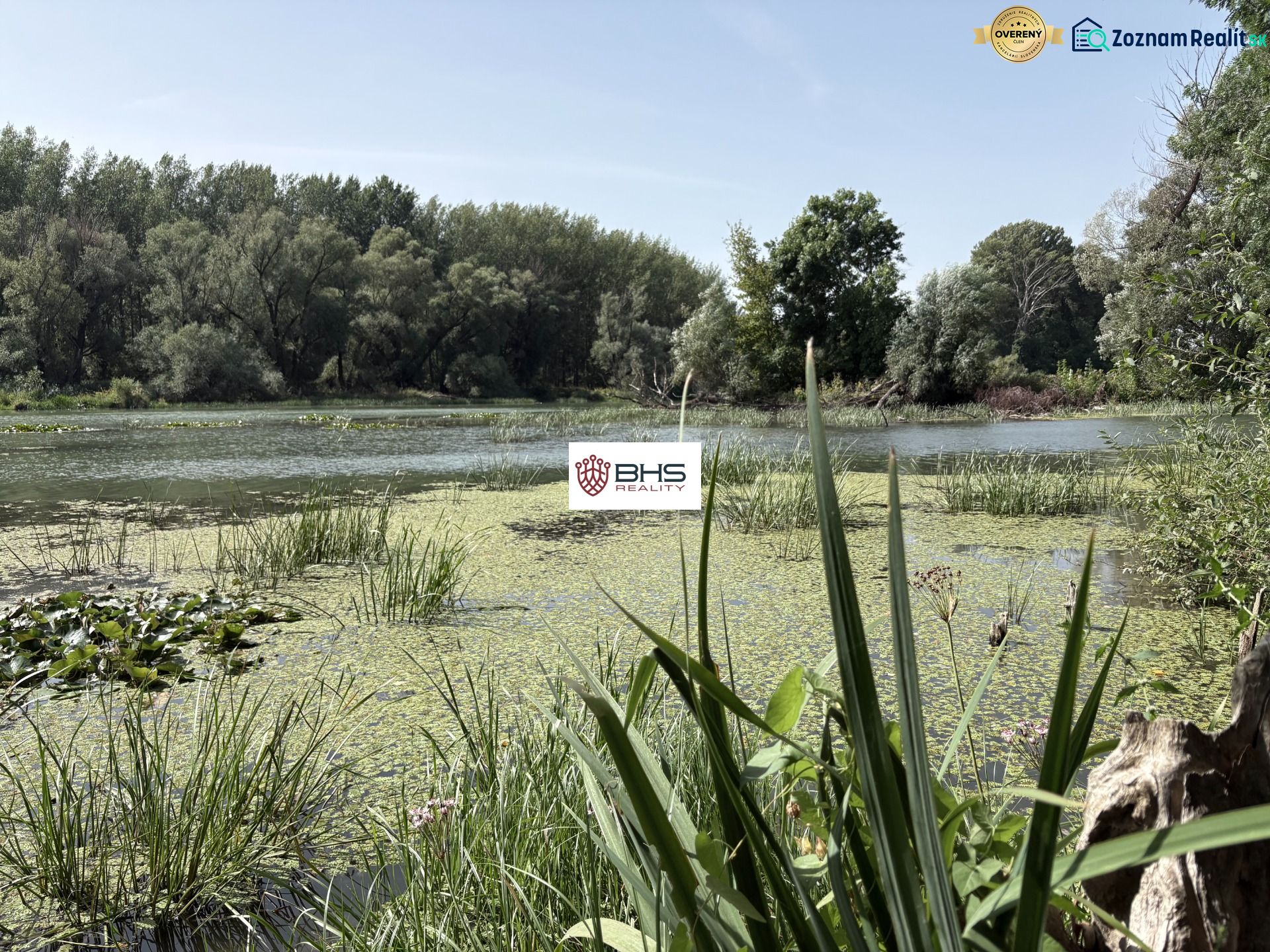 A lake surrounded by greenery and trees near a cottage in Bodíky.