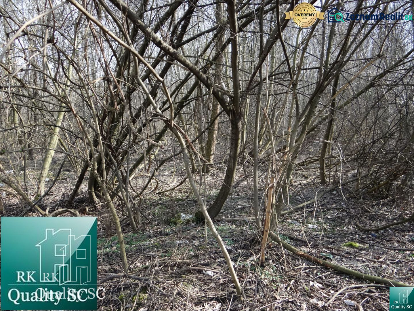 Forest cover on the land - housing in the Old Port Gabčíkovo, suitable for modification.