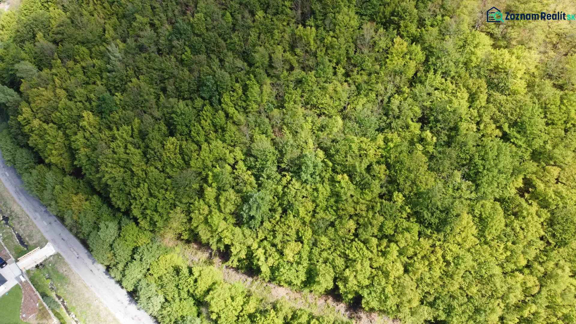 An aerial view of forest lands in Župkov, where there are dense tree canopies.