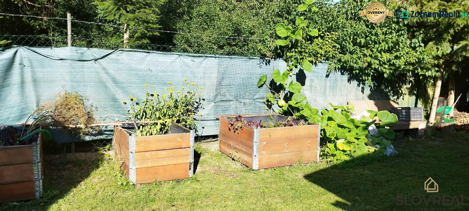 The garden at the cottage in Lutila with raised beds and greenery.