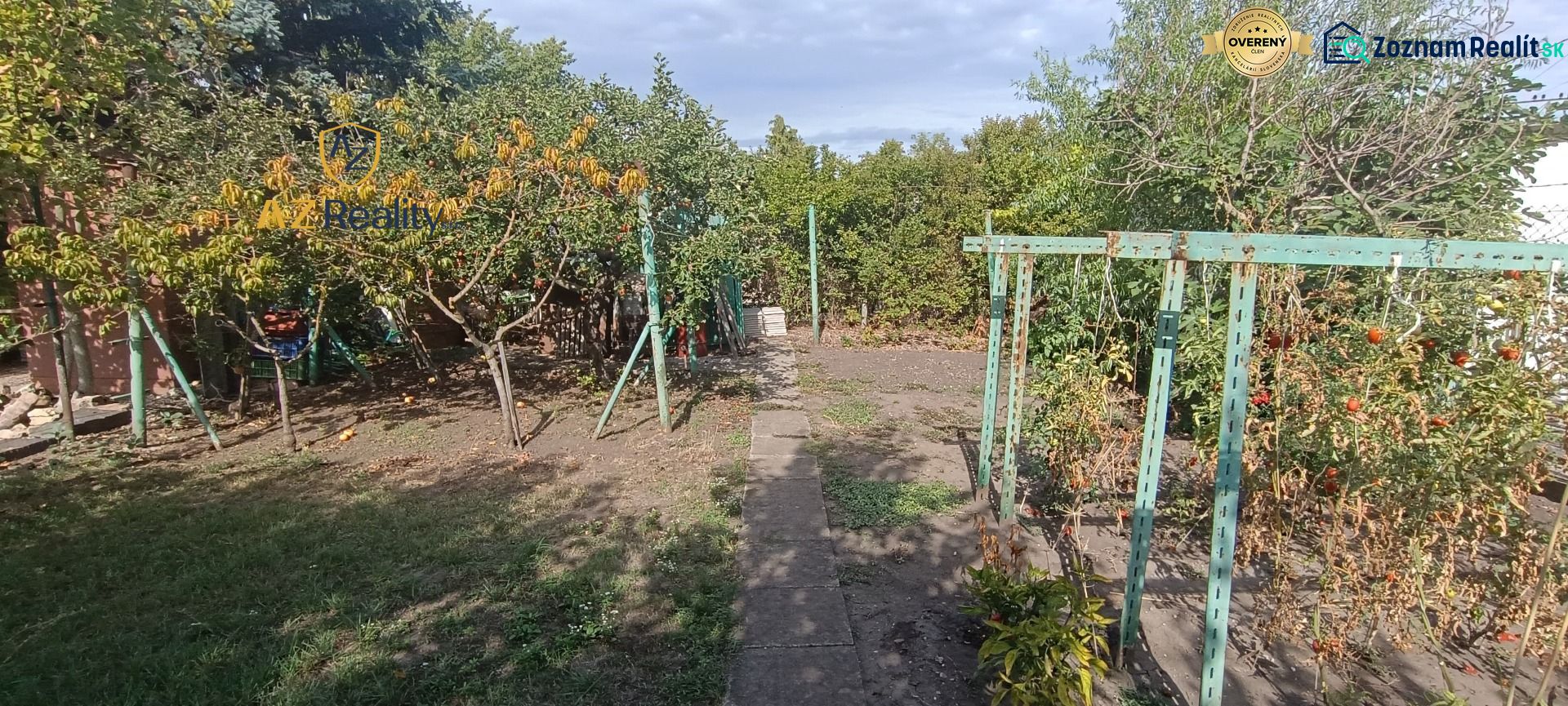 A garden in Nesvady with fruit trees and tomatoes in the foreground.