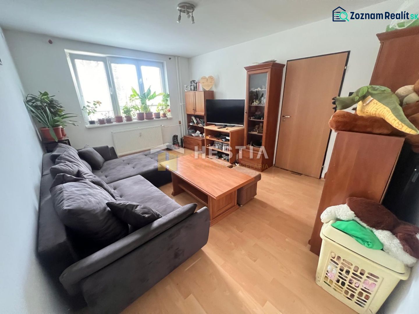Living room in a 3-room apartment with a comfortable sofa and wooden decor flooring.