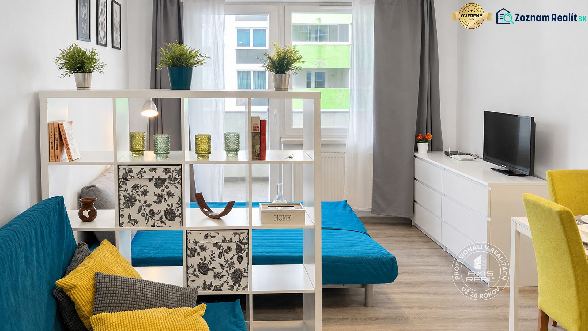 Living room in a one-room apartment with a dividing shelf and decorations.