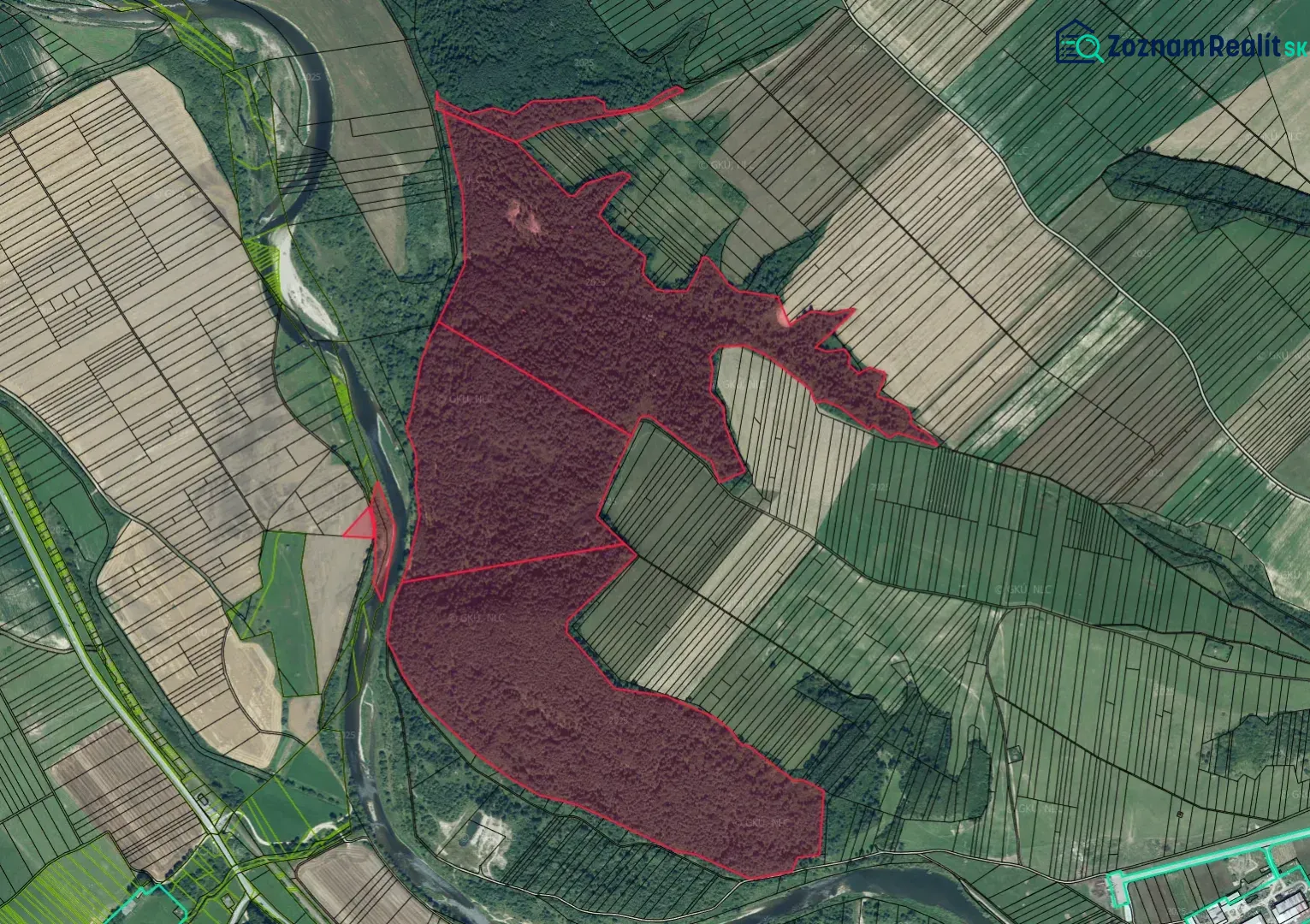 Aerial view of agricultural and forest lands around Plaveč with forest parcels.
