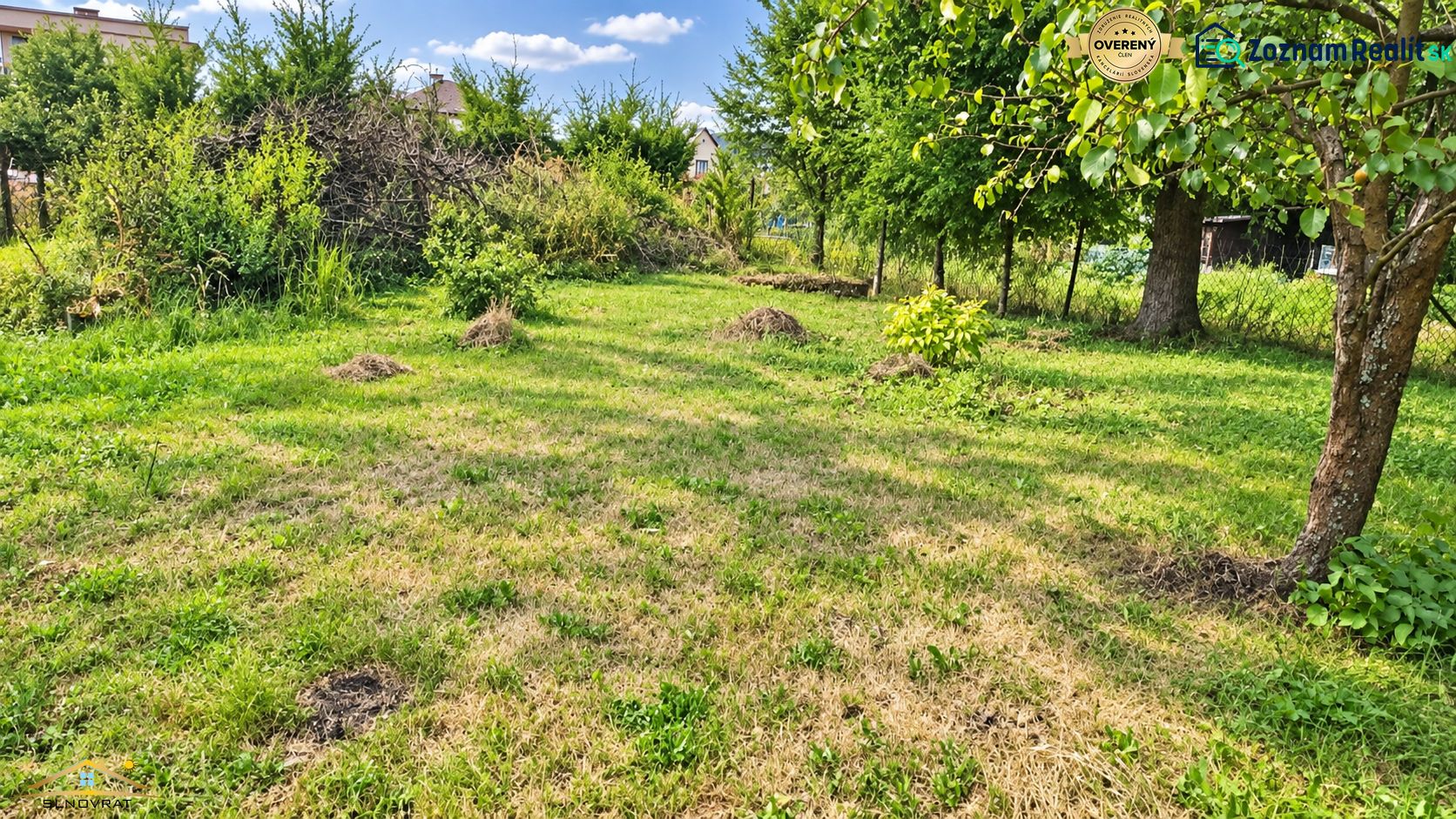 Greenery and trees on a residential plot in Staškov under the blue sky.