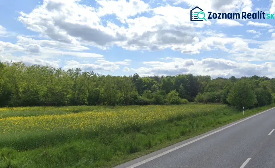 A path and a meadow near the forest on agricultural and forest lands in Nové Hony.