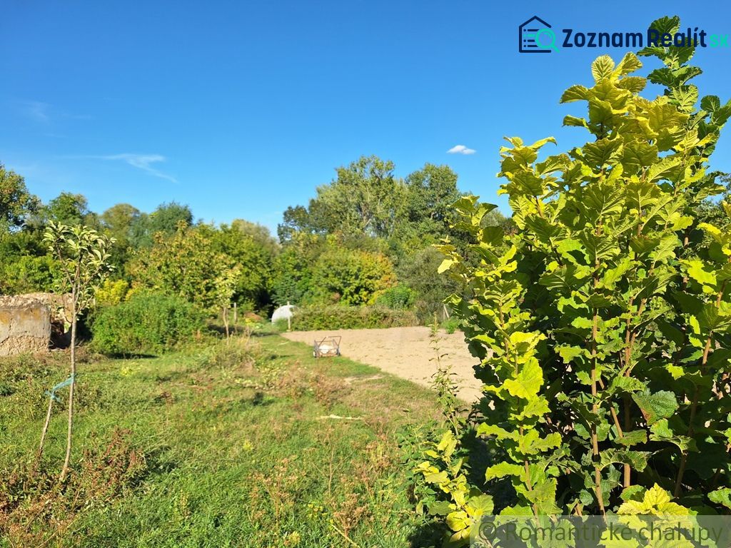Gardens in Bruty with greenery and a clear blue sky.