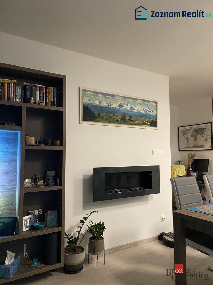 Living room in a 2-room apartment with a modern fireplace, a painting, and a bookshelf full of books.