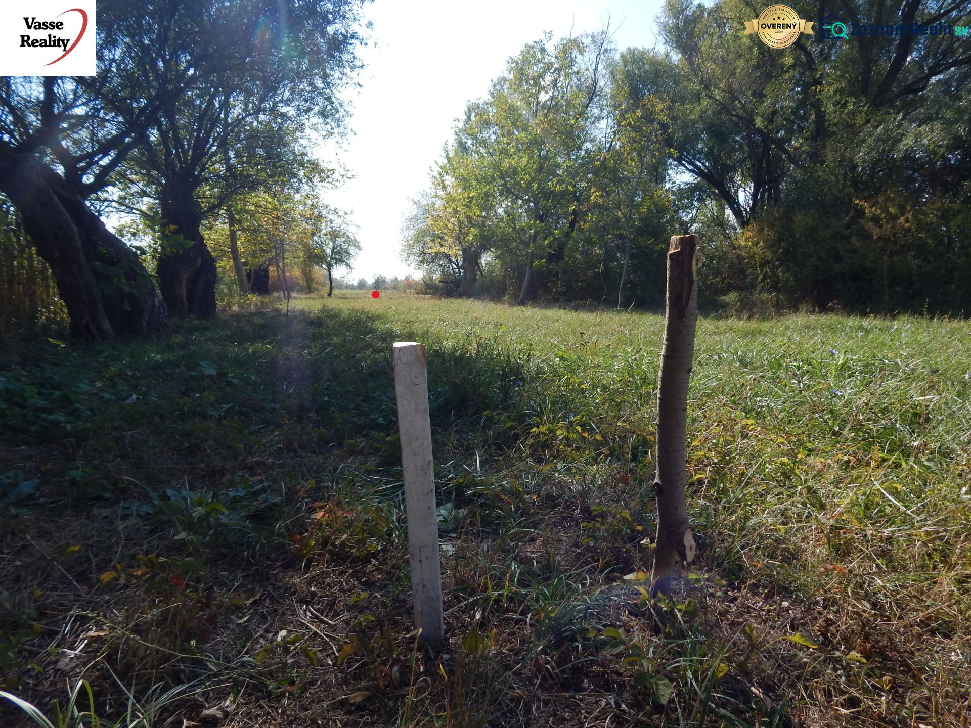 A grassy strip with wooden stakes on Recreational Land in Martovce, surrounded by trees.