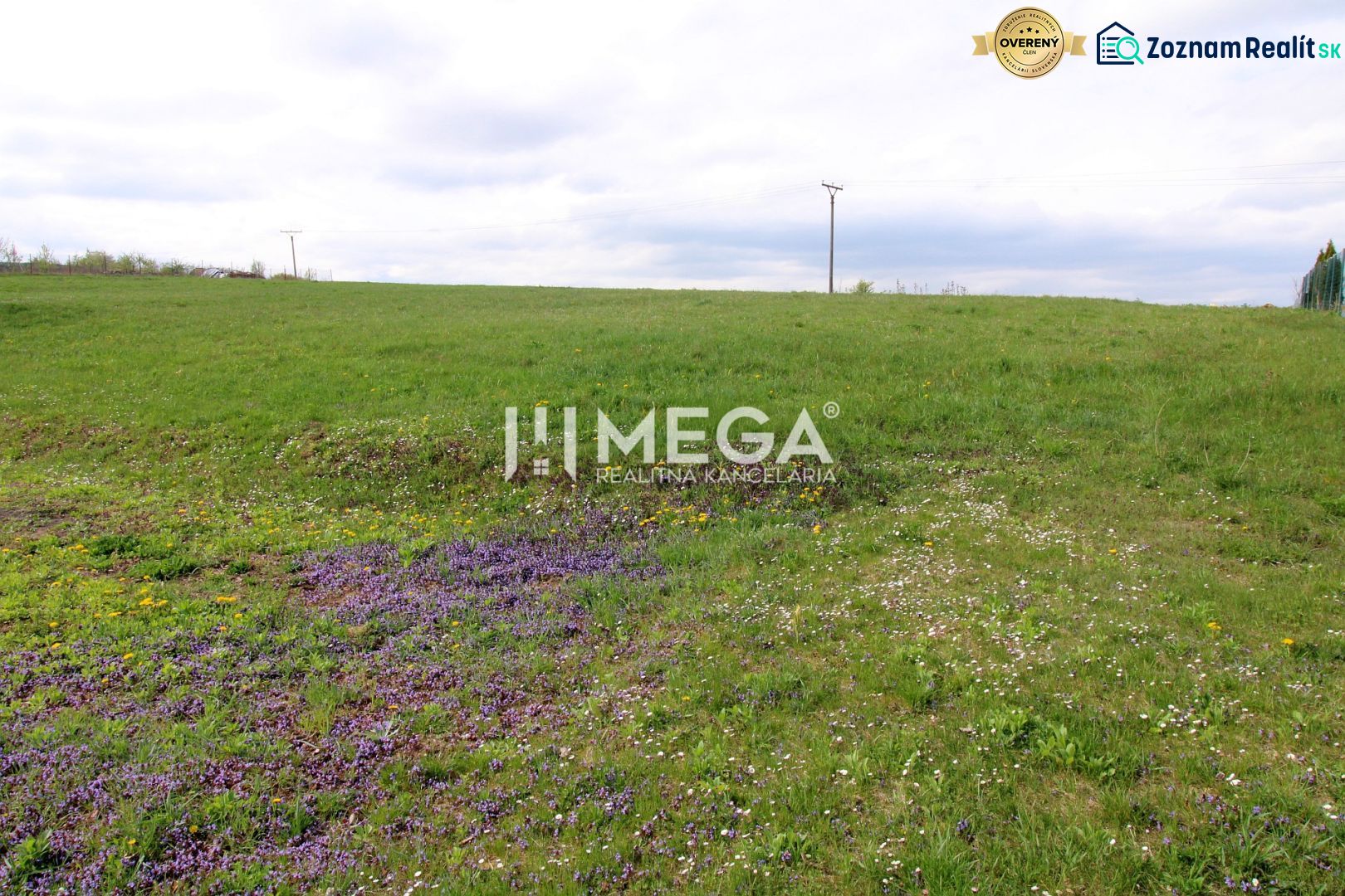 Land - residential on Brestovska Street in Humenne, green meadow with flowers and power lines.