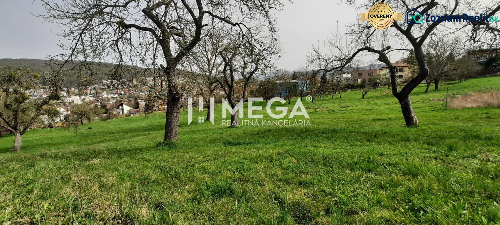 A view of the green meadow with trees and a view of Humenné from Brestovská Street.