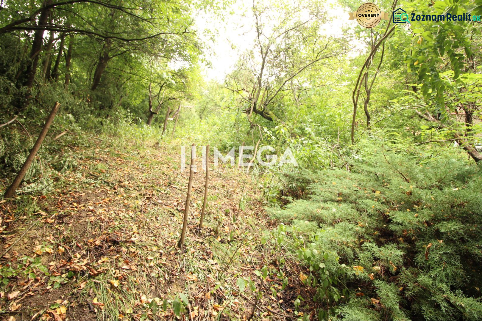 Forest road on a residential plot on Šípková Street, Košice IV, surrounded by greenery.