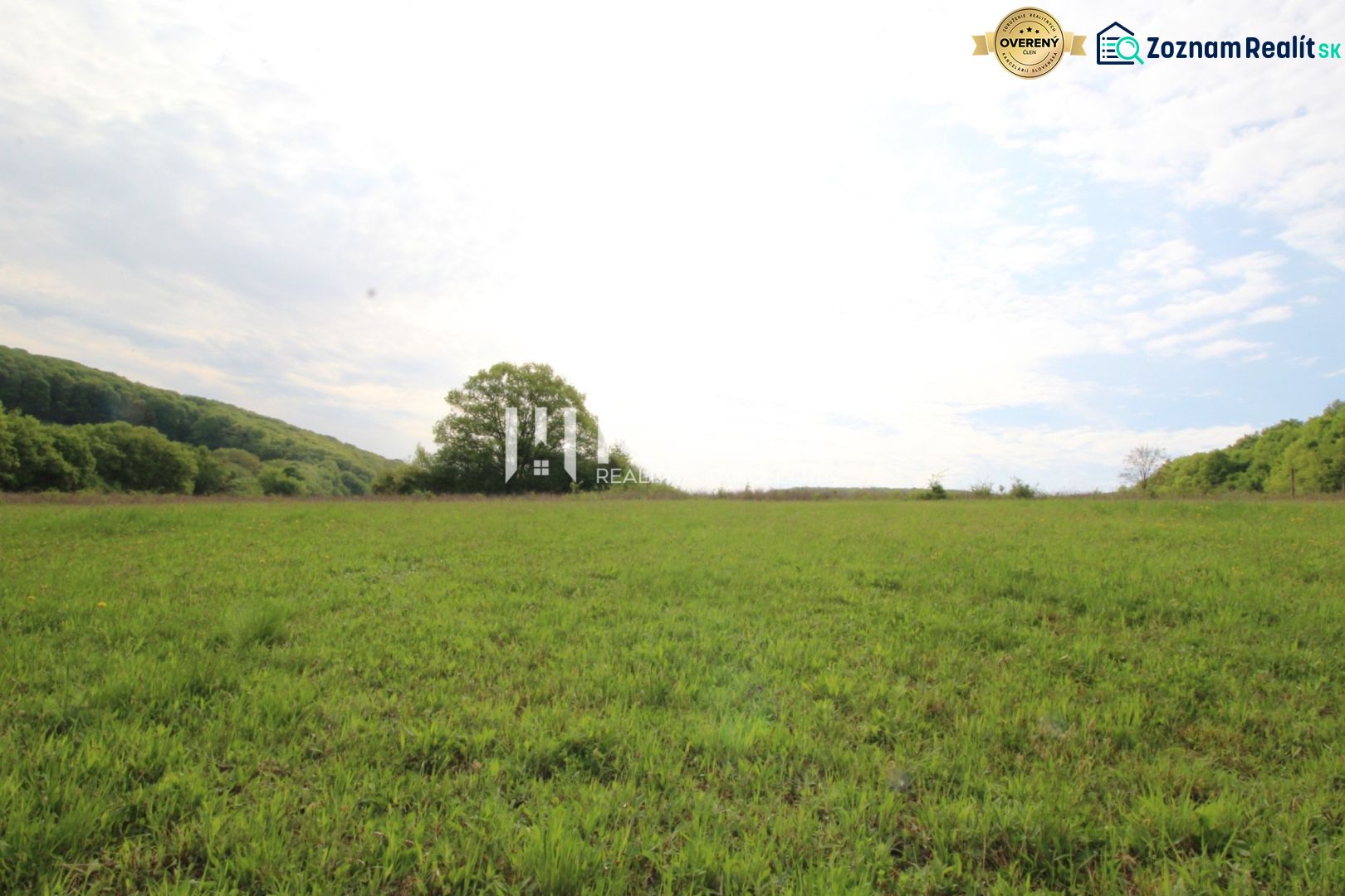 The greenery of the meadow and trees in the background, Vyšný Kazimír, land - residential.