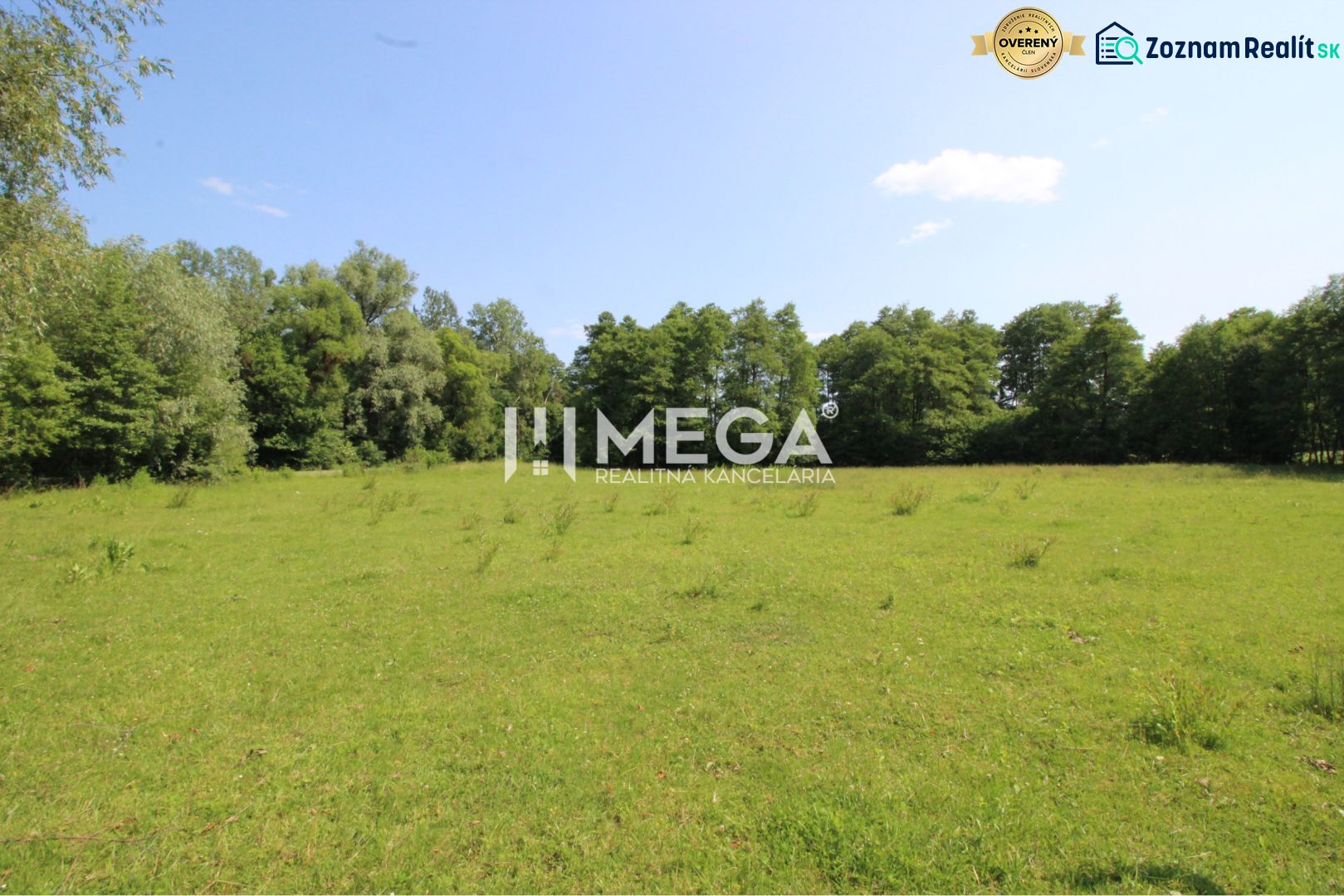 Plots - living in Ptičí: green meadow surrounded by trees, clear sky.