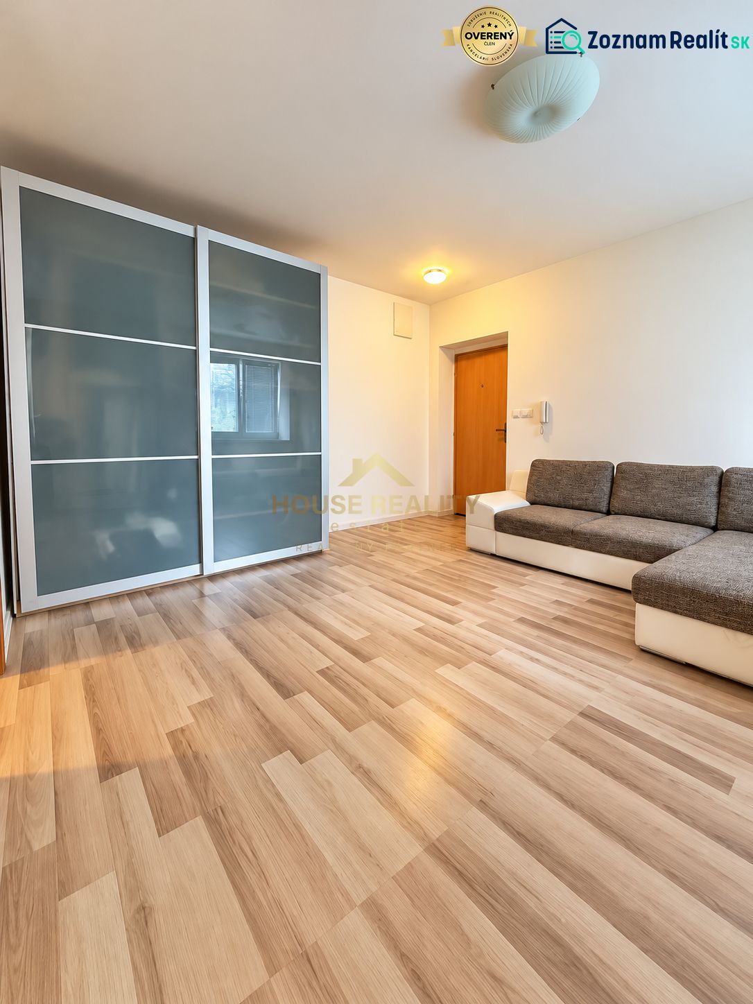 Studio apartment with wood-patterned flooring, built-in wardrobe, and comfortable sofa.