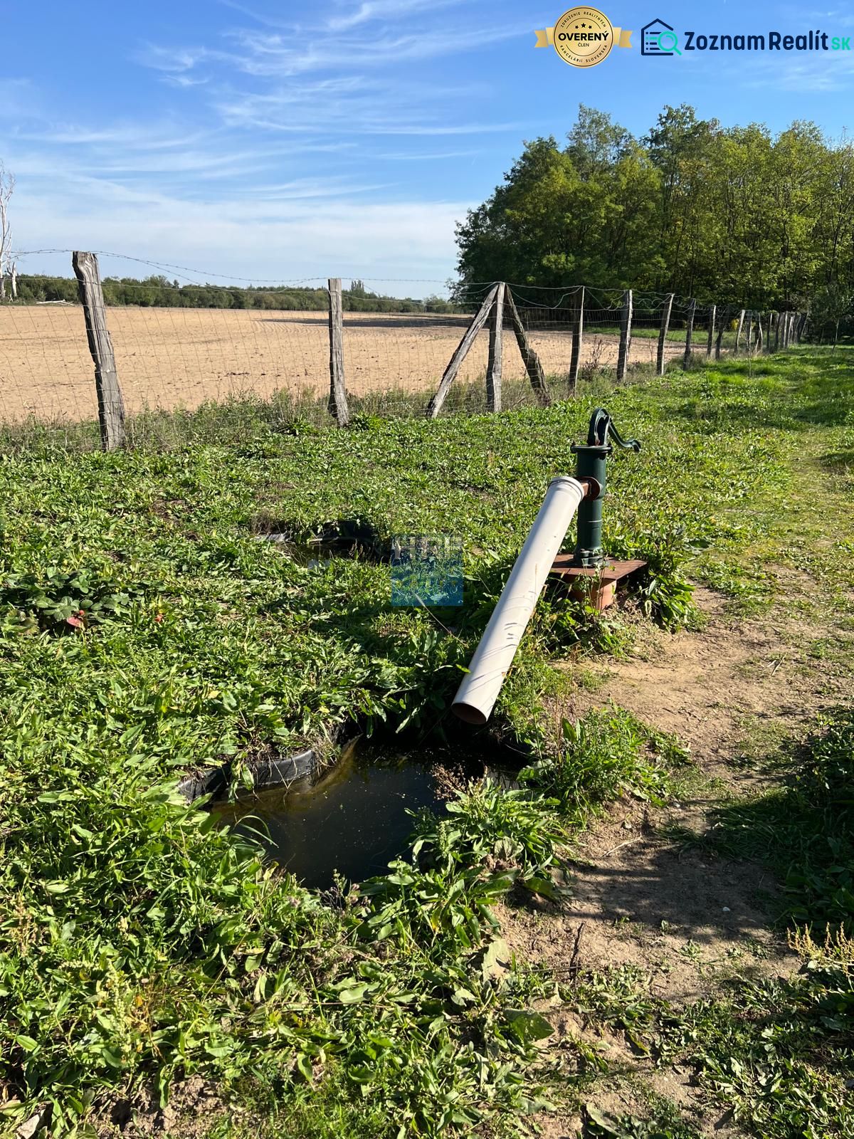 A pump with greenery in the gardens in Kopčany, rural landscape in the background.