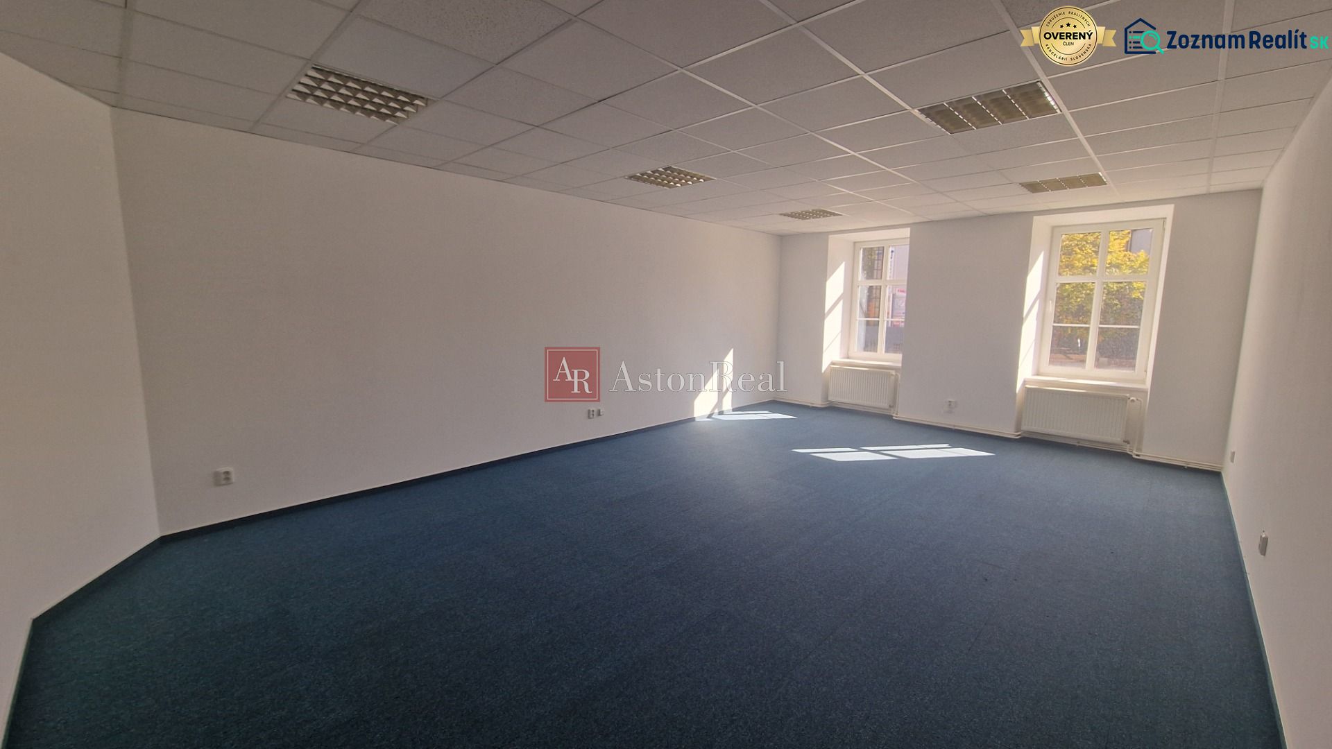 A bright spacious office with a blue carpet and white walls.