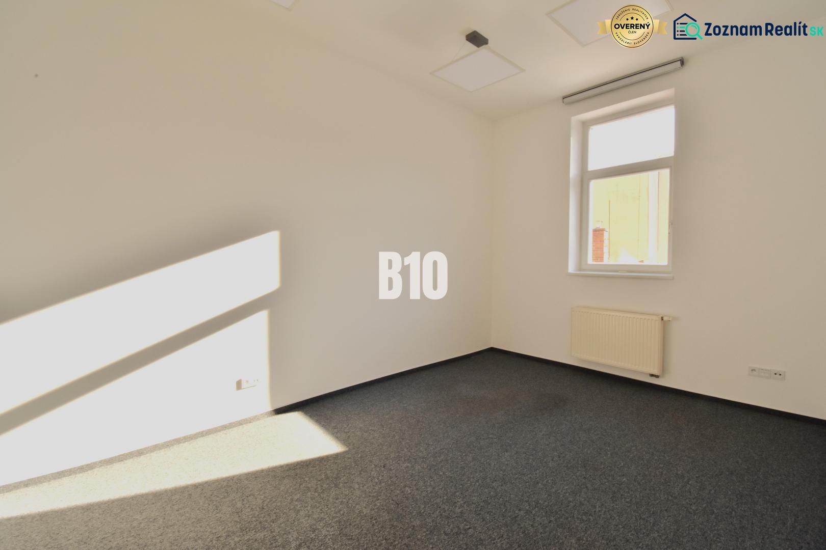 Office interior with carpet and window, view of a wall and radiator.