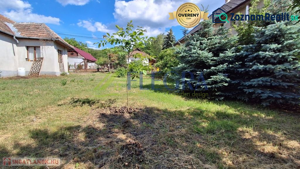 A family house in Abaújkér with a spacious garden, a young tree, and conifers under a blue sky.