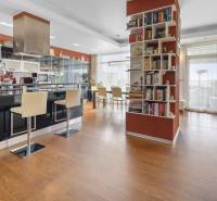 Bratislava »» Luxury 220 sqm Penthouse for sale