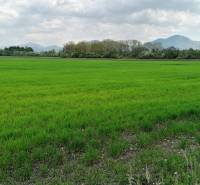 Sale Agrarian and forest land, Agrarian and forest land, Ležiachov, Ma