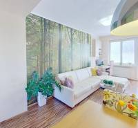 2-izbovy-byt-s-balkonom-BA-Ruzinov-Strkovec-Living-Room-2.jpg