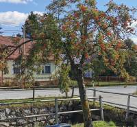 Sale Family house, Family house, Medzilaborce, Slovakia