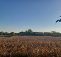 Sale Land – for living, Land – for living, Trnava, Slovakia
