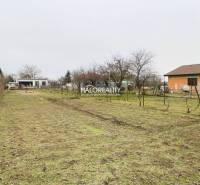 Palárikovo Land – for living Sale reality Nové Zámky