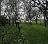 Kalinovo Land – for living Sale reality Poltár
