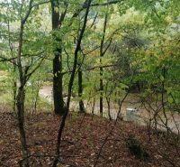 IMG_20231009_134858.jpg