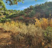 Spain, Investment opportunity to build 7 independent villas