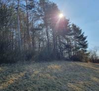 Sale Agrarian and forest land, Agrarian and forest land, Myjava, Slova