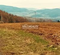 Korytárky Agrarian and forest land Sale reality Detva