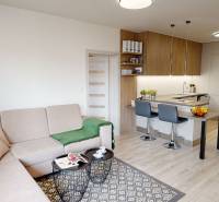 3- izbový byt s dvoma kúpeľňami a parkovacím miestom na predaj H27 - obývačka