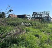 Šurianky Land – for living Sale reality Nitra