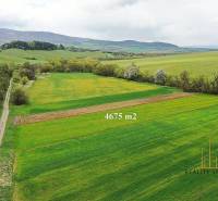 Chmeľovec Agrarian and forest land Sale reality Prešov