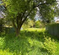 Sale Land – for living, Land – for living, Kostolné, Myjava, Slovakia