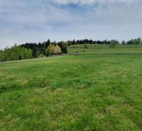 Sale Land – for living, Land – for living, Ľuľovka, Detva, Slovakia