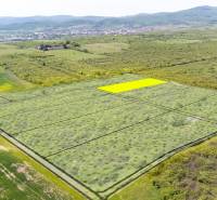 Sale Land – for living, Land – for living, Dolná, Pezinok, Slovakia