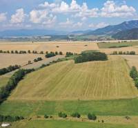 Sale Agrarian and forest land, Agrarian and forest land, Mošovce, Turč