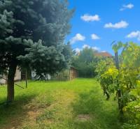 Sale Land – for living, Land – for living, Záveterná, Bratislava - Dev