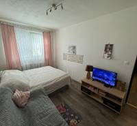 Sale Two bedroom apartment, Two bedroom apartment, SNP, Levice, Slovak